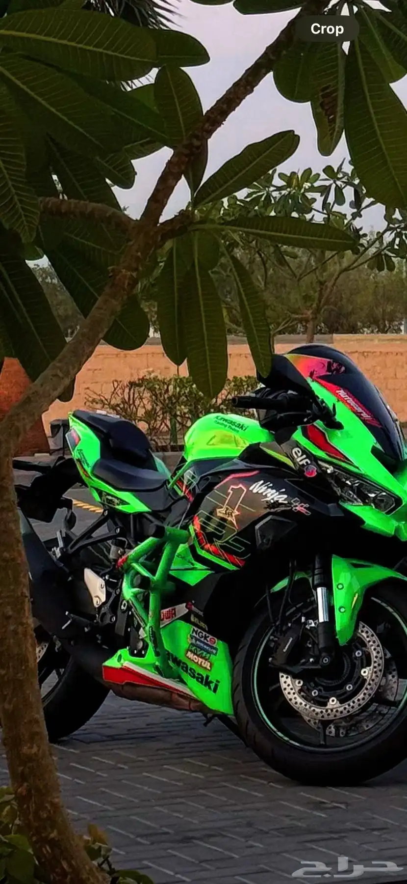 كوازاكي zx4rr 0