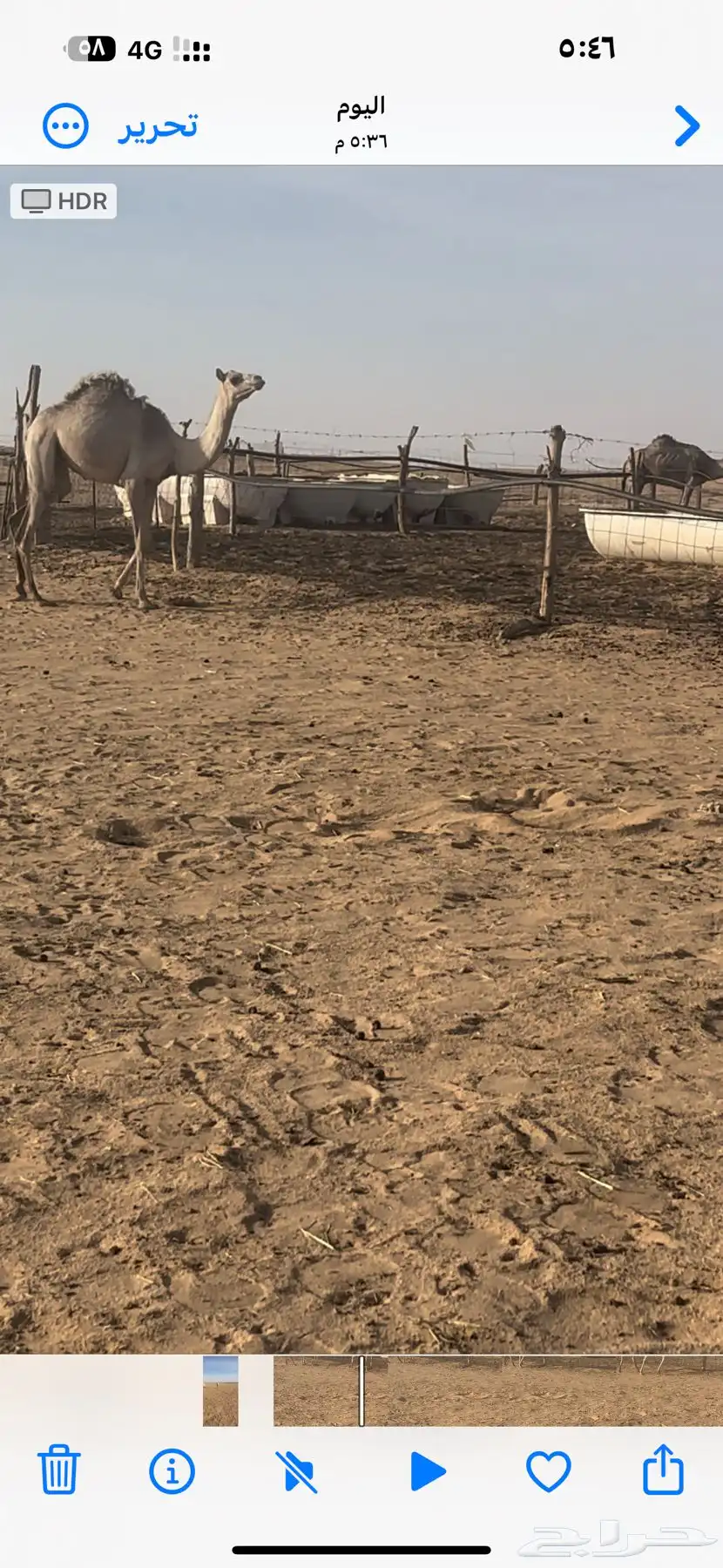 بكره مفروده مغلقه شحم 0