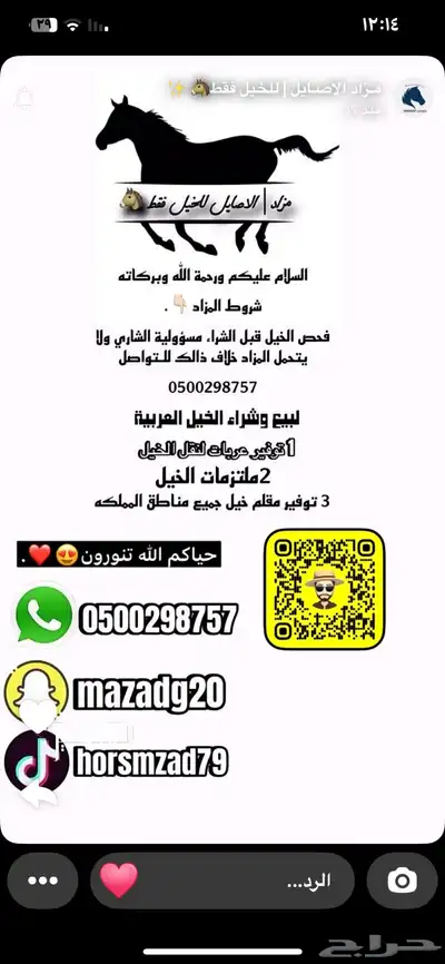 مزاد خيل 0