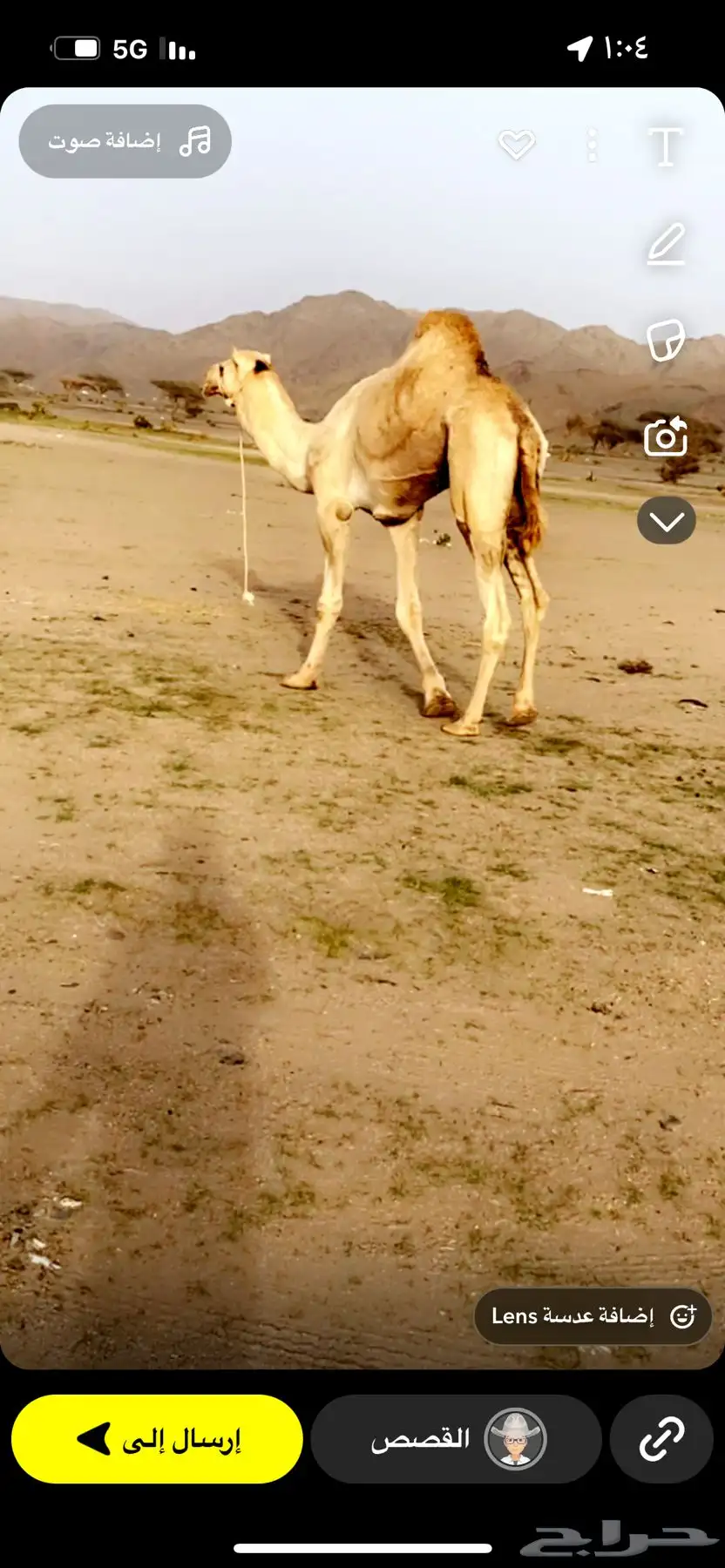 ينبع 4