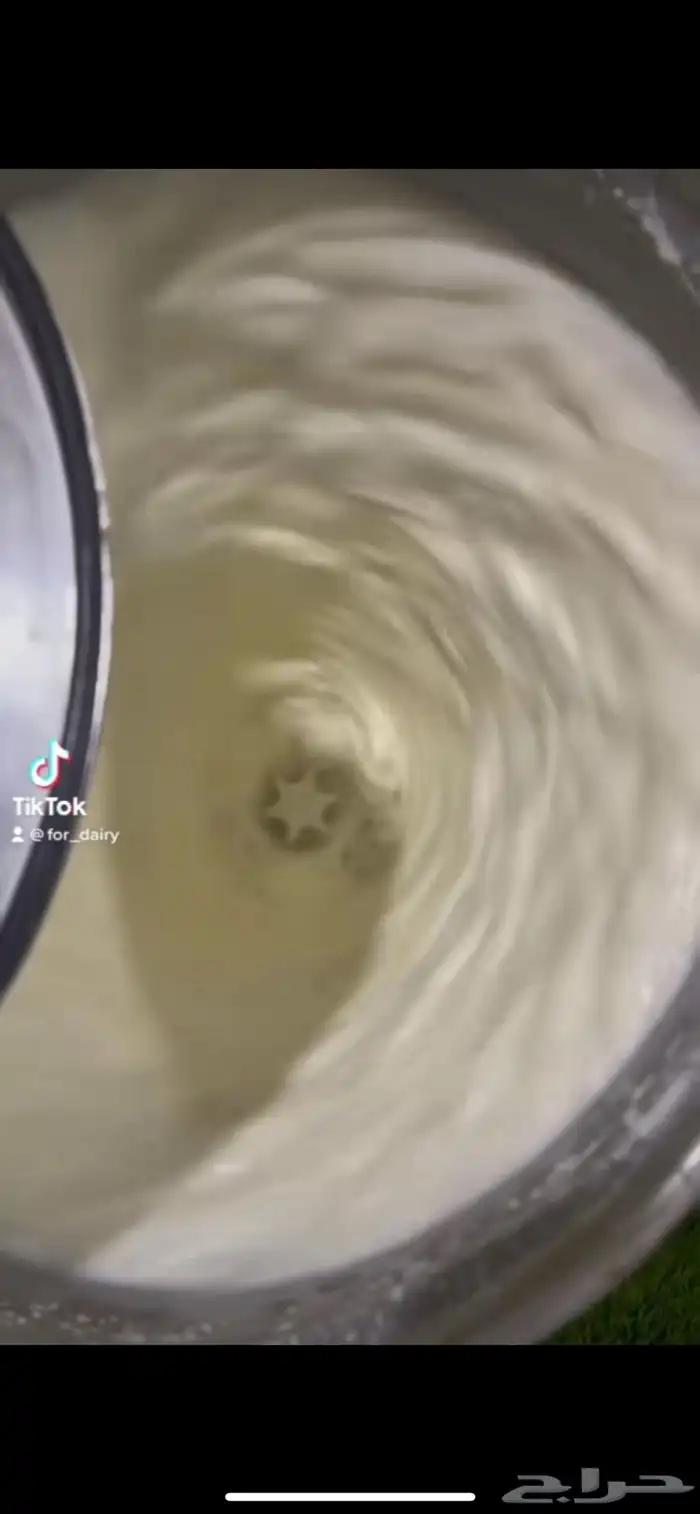 سمن غنم بري 5