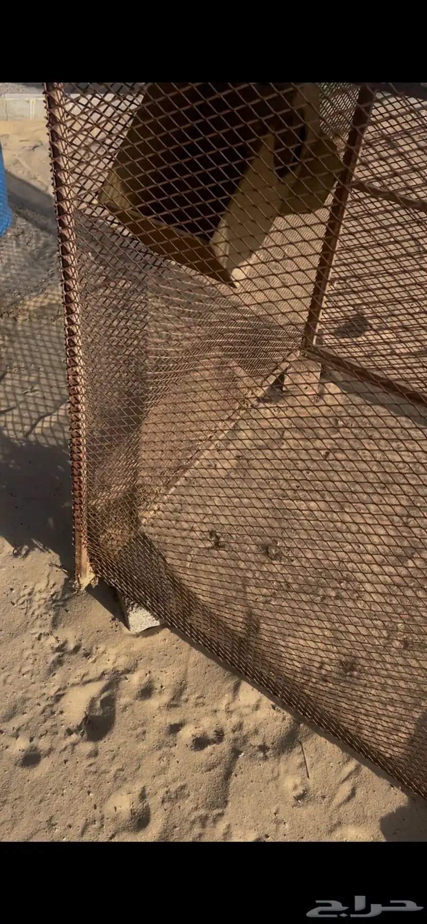 قفص طيور 2