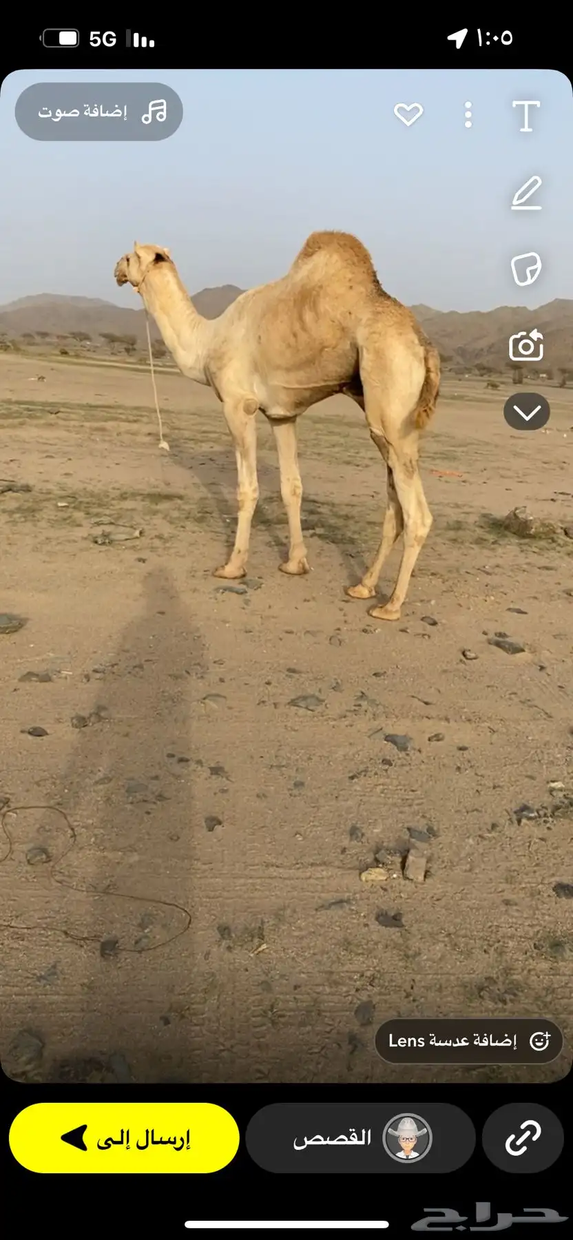 ينبع 2