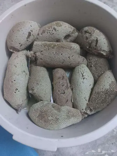 عسل بري حر( جديد اليوم)19 كيلو 2