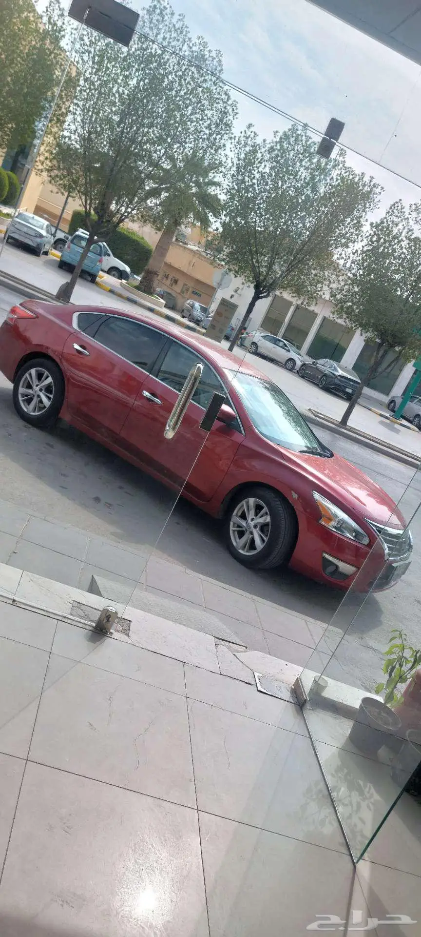 نسيان التيما 2013 0