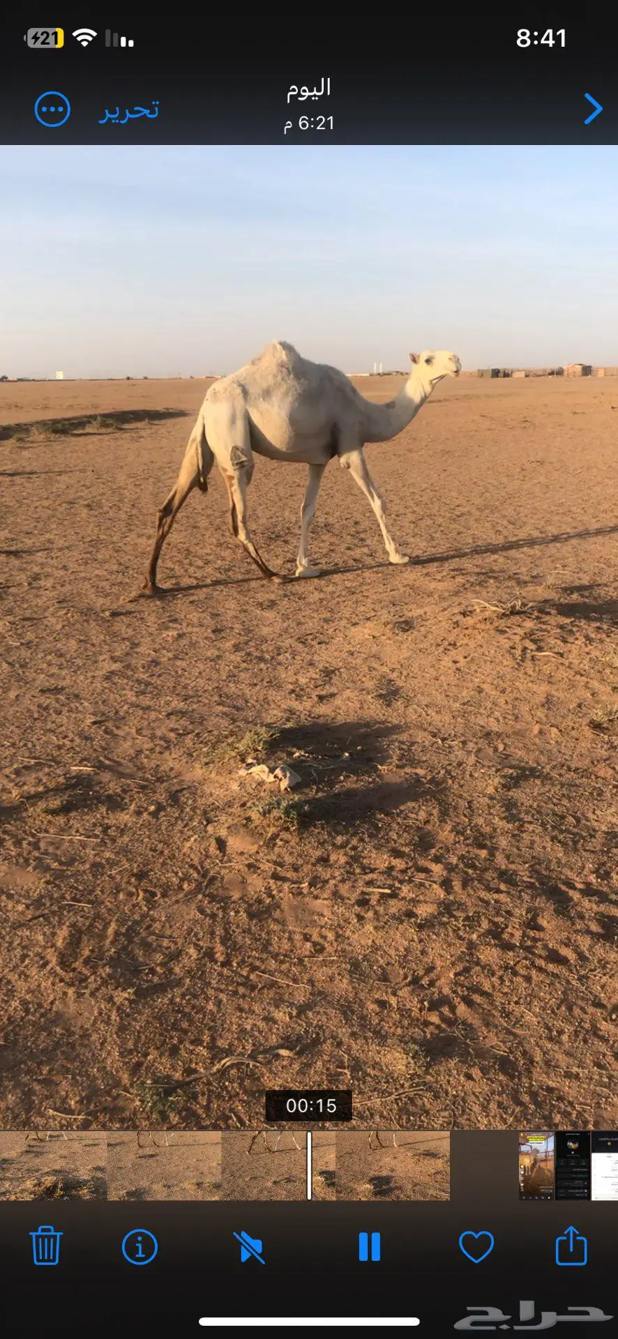 بكره عليه وسم الطهيمي حقه 1