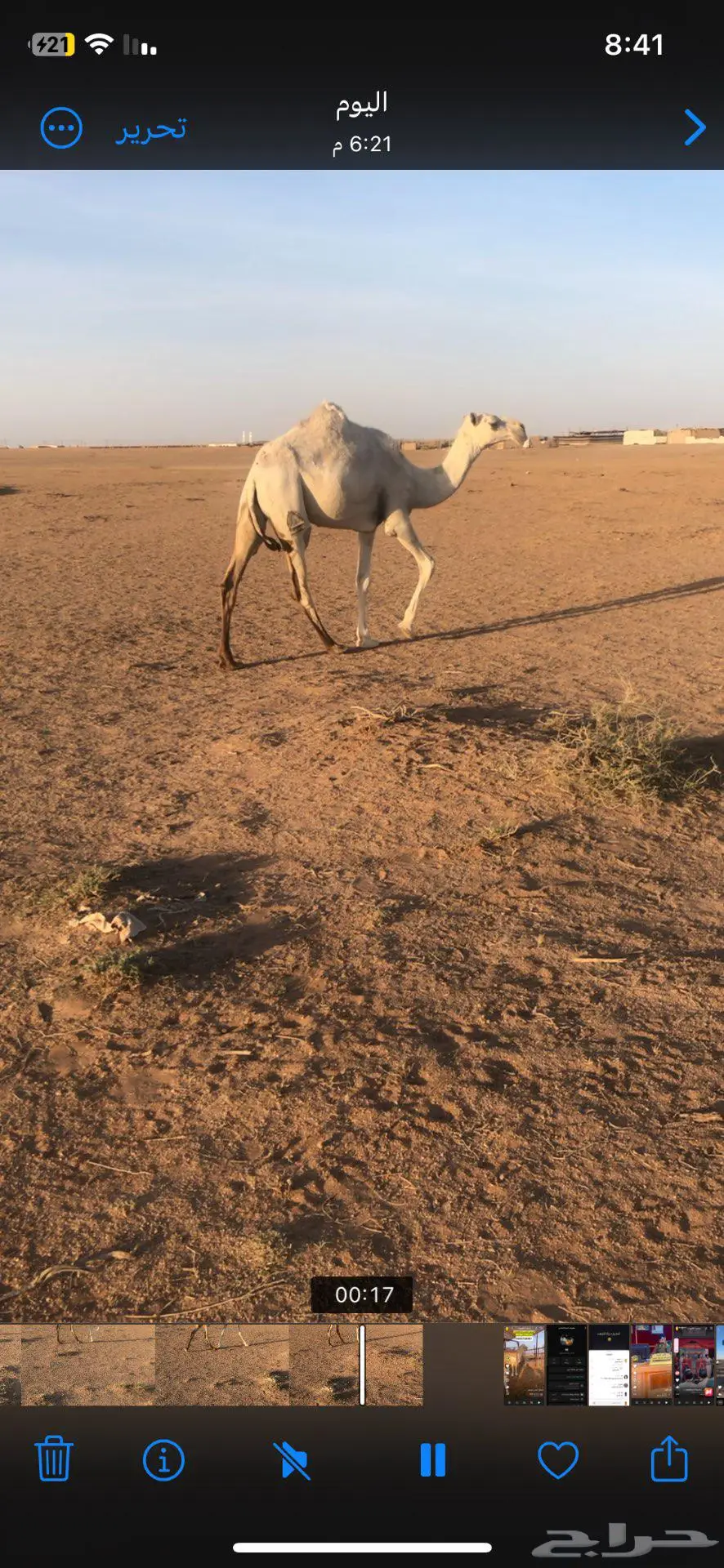 بكره عليه وسم الطهيمي حقه 0