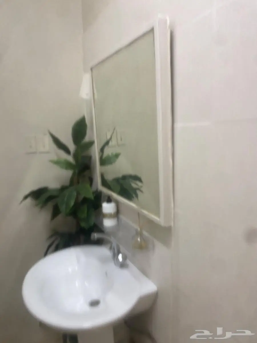 الشرقية صفوى 3