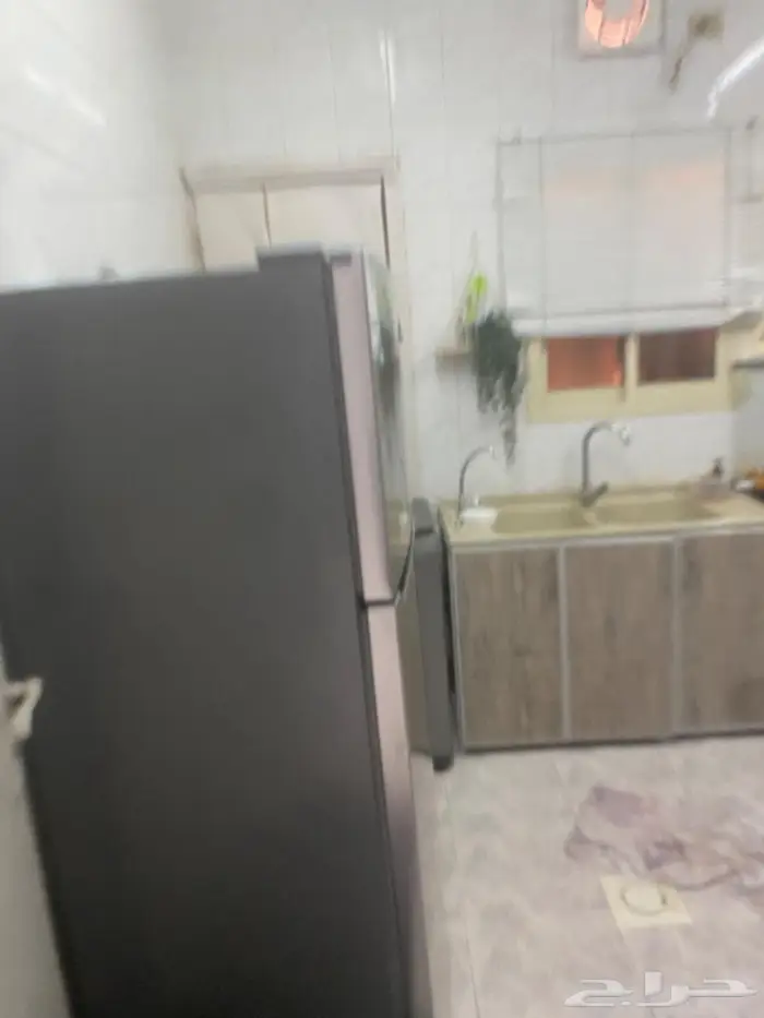الشرقية صفوى 2