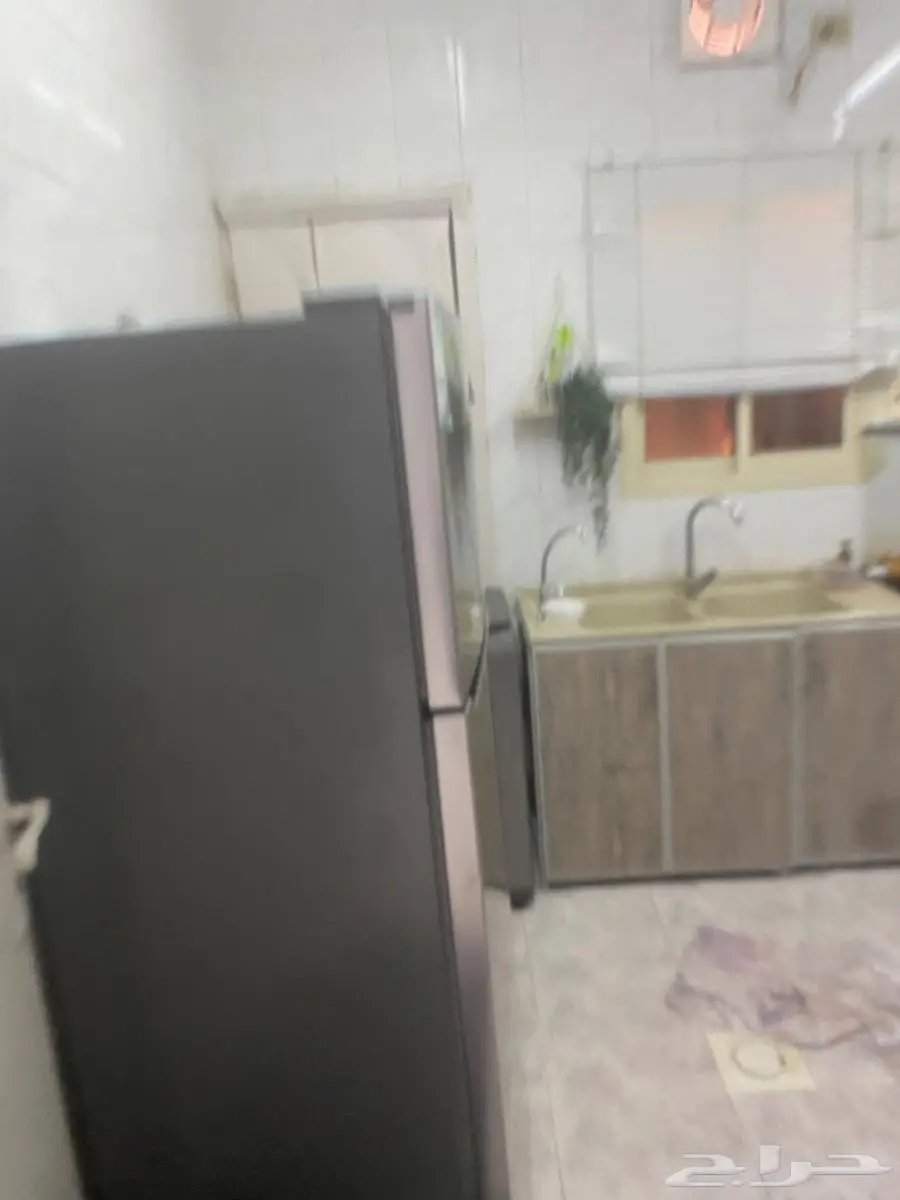 الشرقية صفوى 2