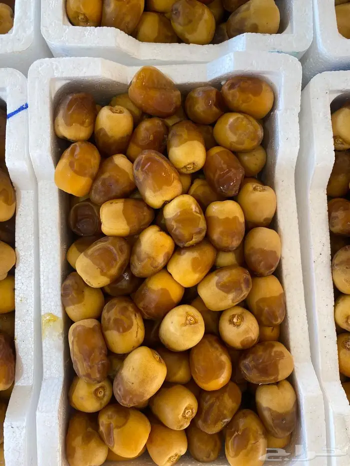 روثانة 0