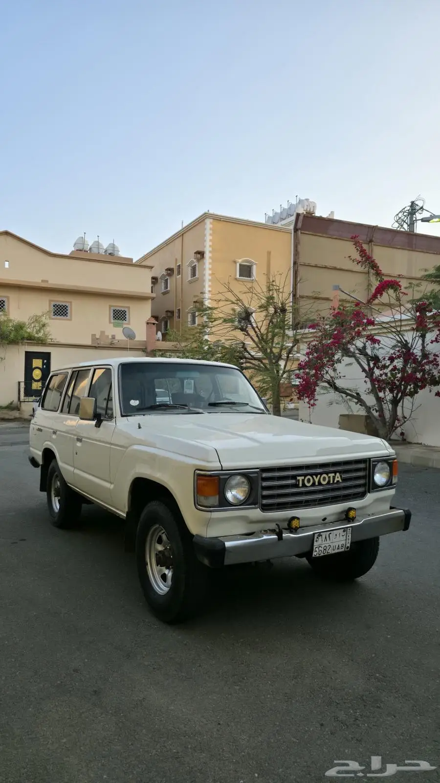 لاندكروزر 1984 1
