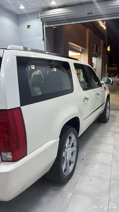اسكاليد سعودي موديل 2010 فل كامل 5