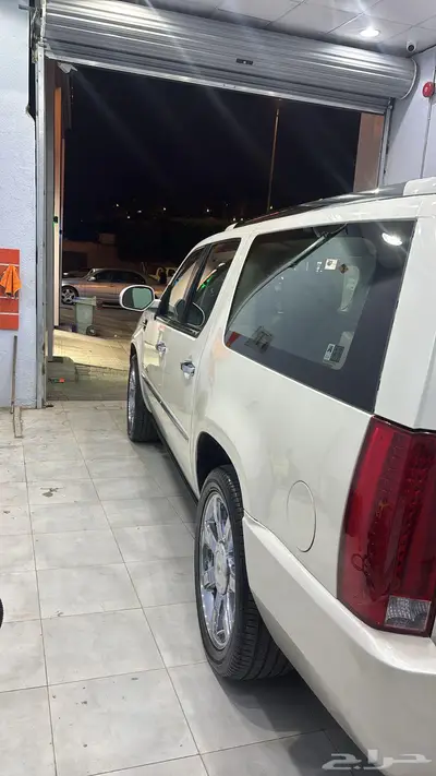 اسكاليد سعودي موديل 2010 فل كامل 4