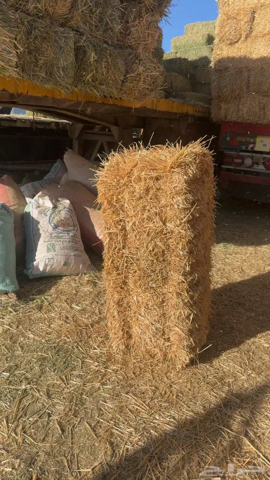 للبيع علف تبن قمح 2
