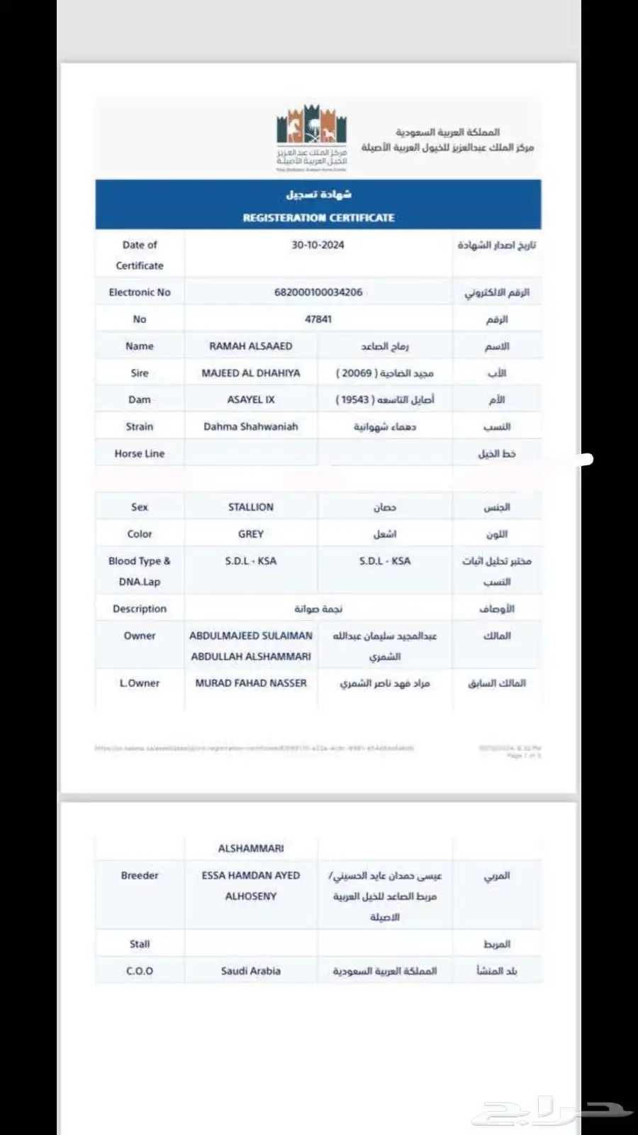 خيل واهو 4