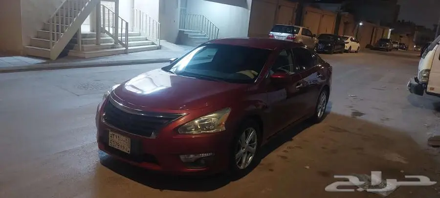 نسيان التيما 2013 1