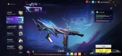 حساب فري فاير 17