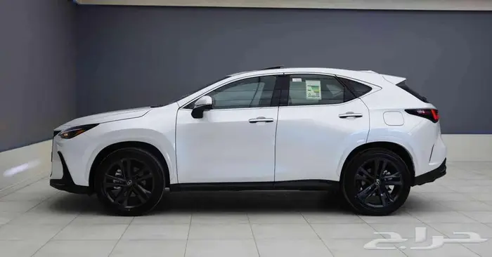 لكزس NX350 ستاندر بنزين 2025 3