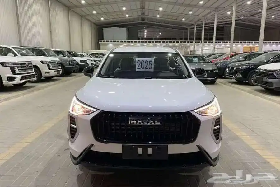 هافال جوليان بيسك 2025 اقل سعر كاش وتقسيط 3