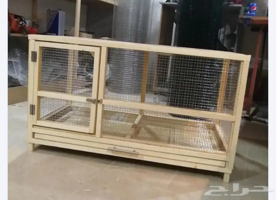 Imported Pomeranian bear type 0
