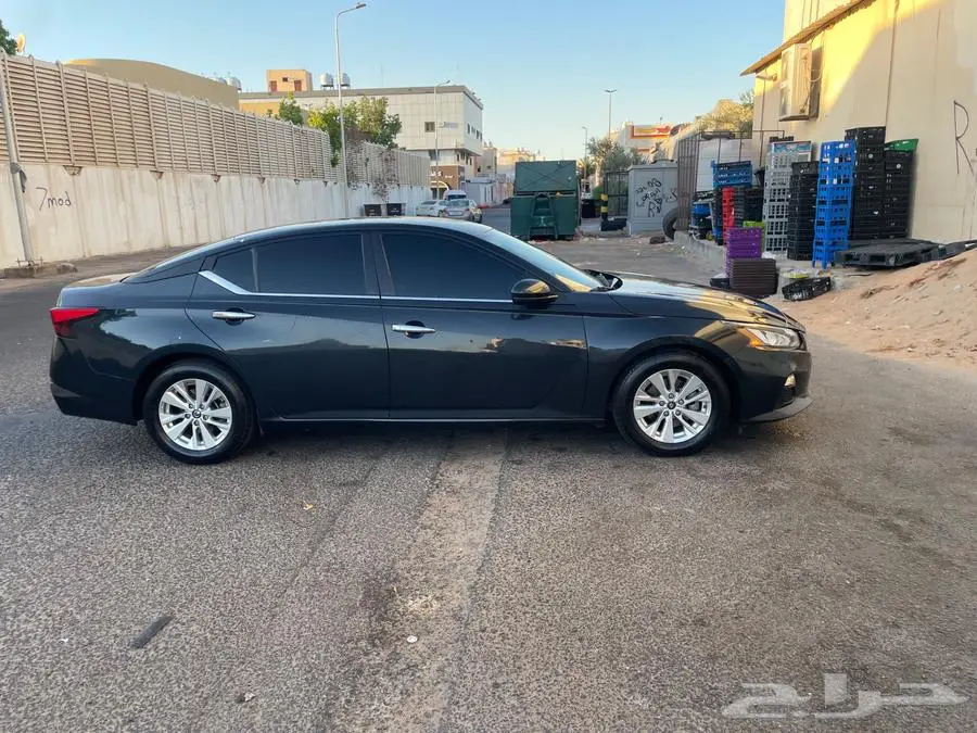 التيماء 6