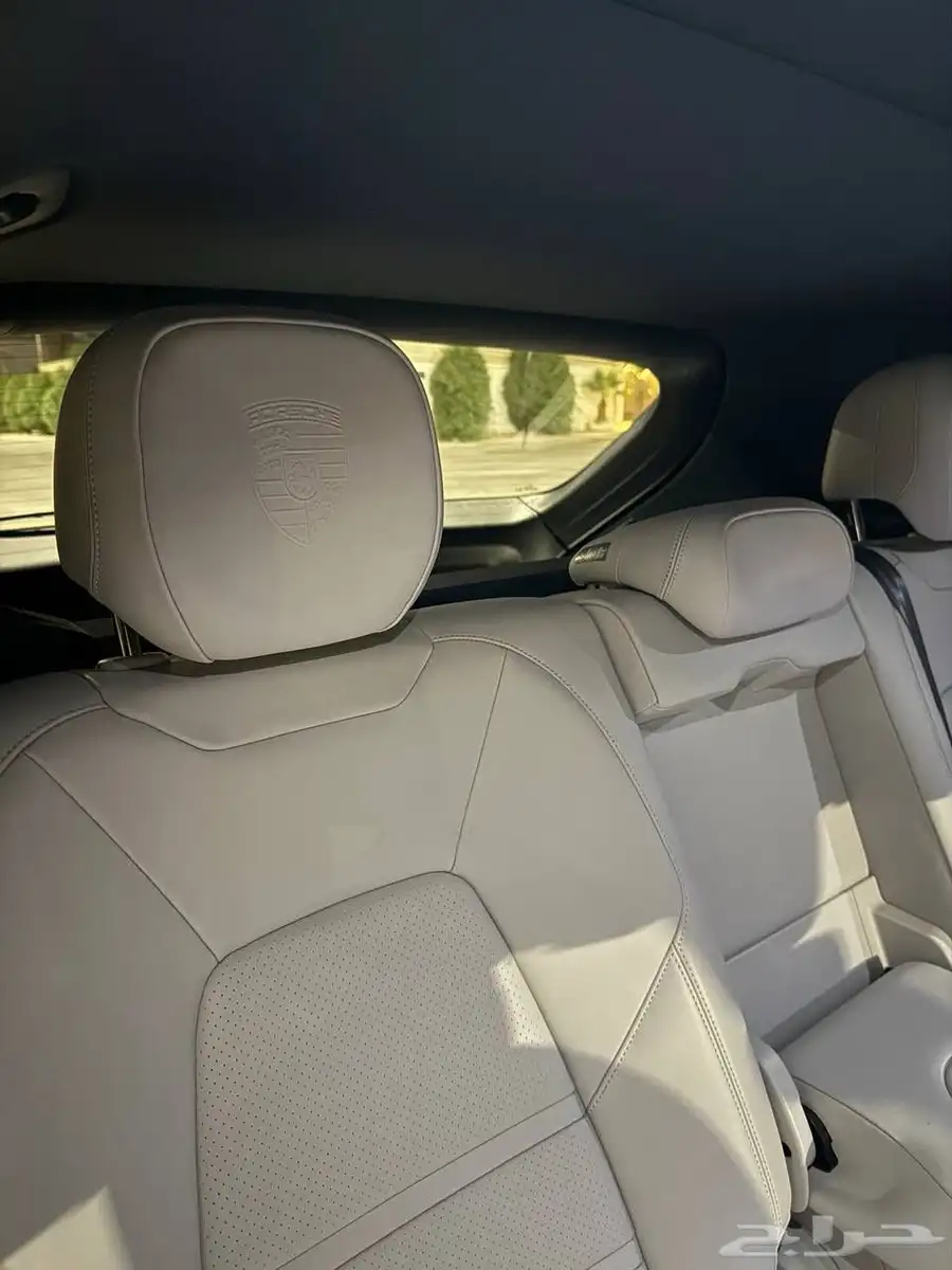 Cayenne Platinum Edition 2023 20
