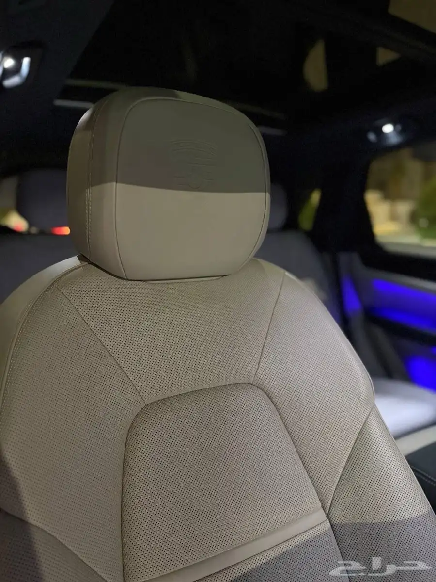 Cayenne Platinum Edition 2023 28