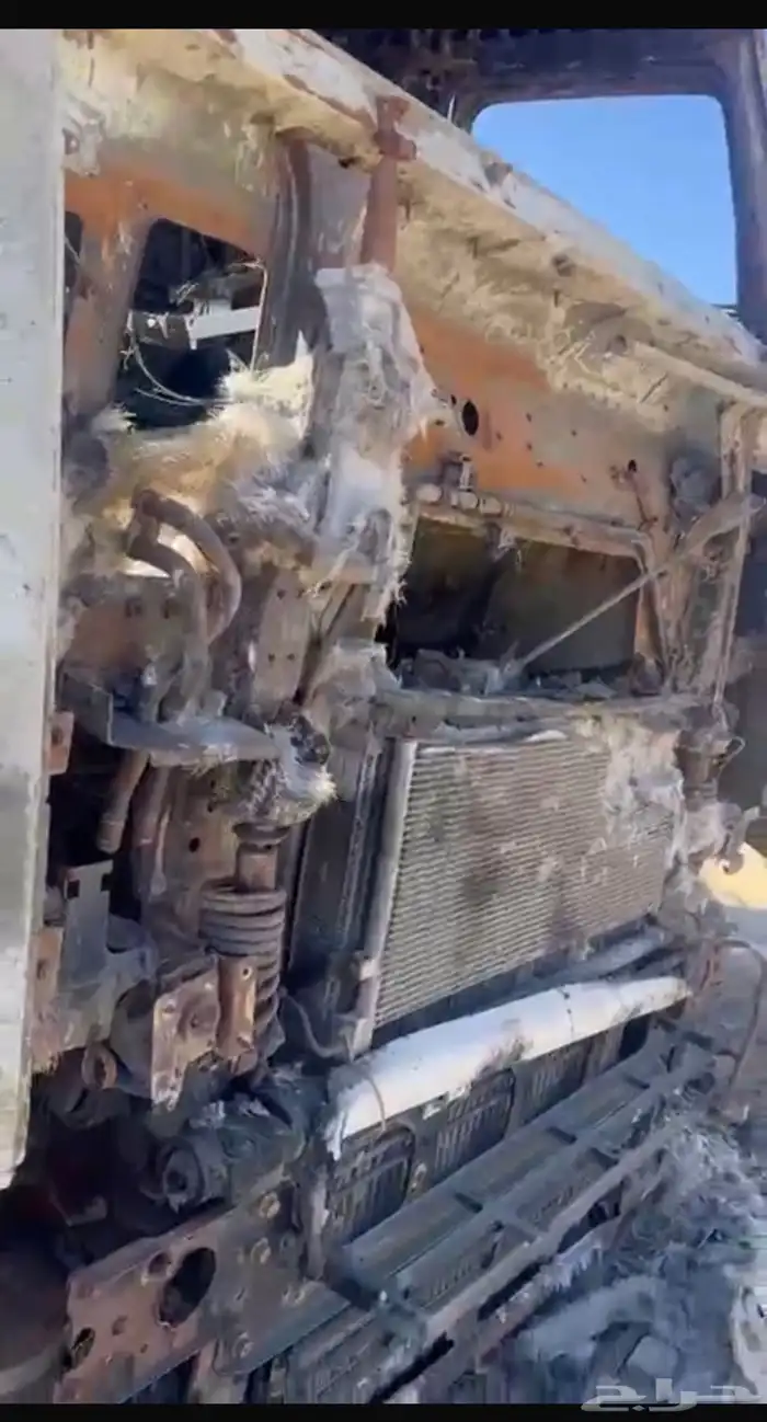 راس فولفو محروق للبيع 1