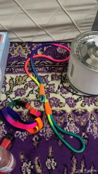 مستلزمات قطط 5