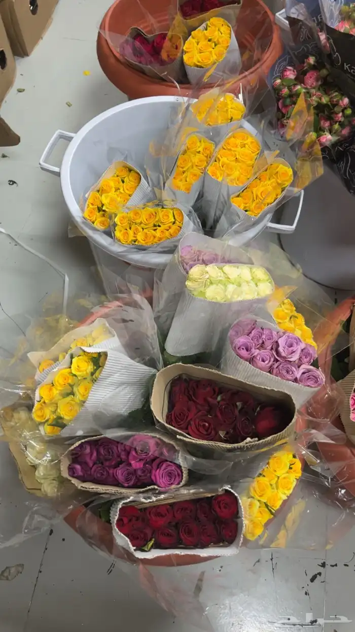 ورود جمله 12