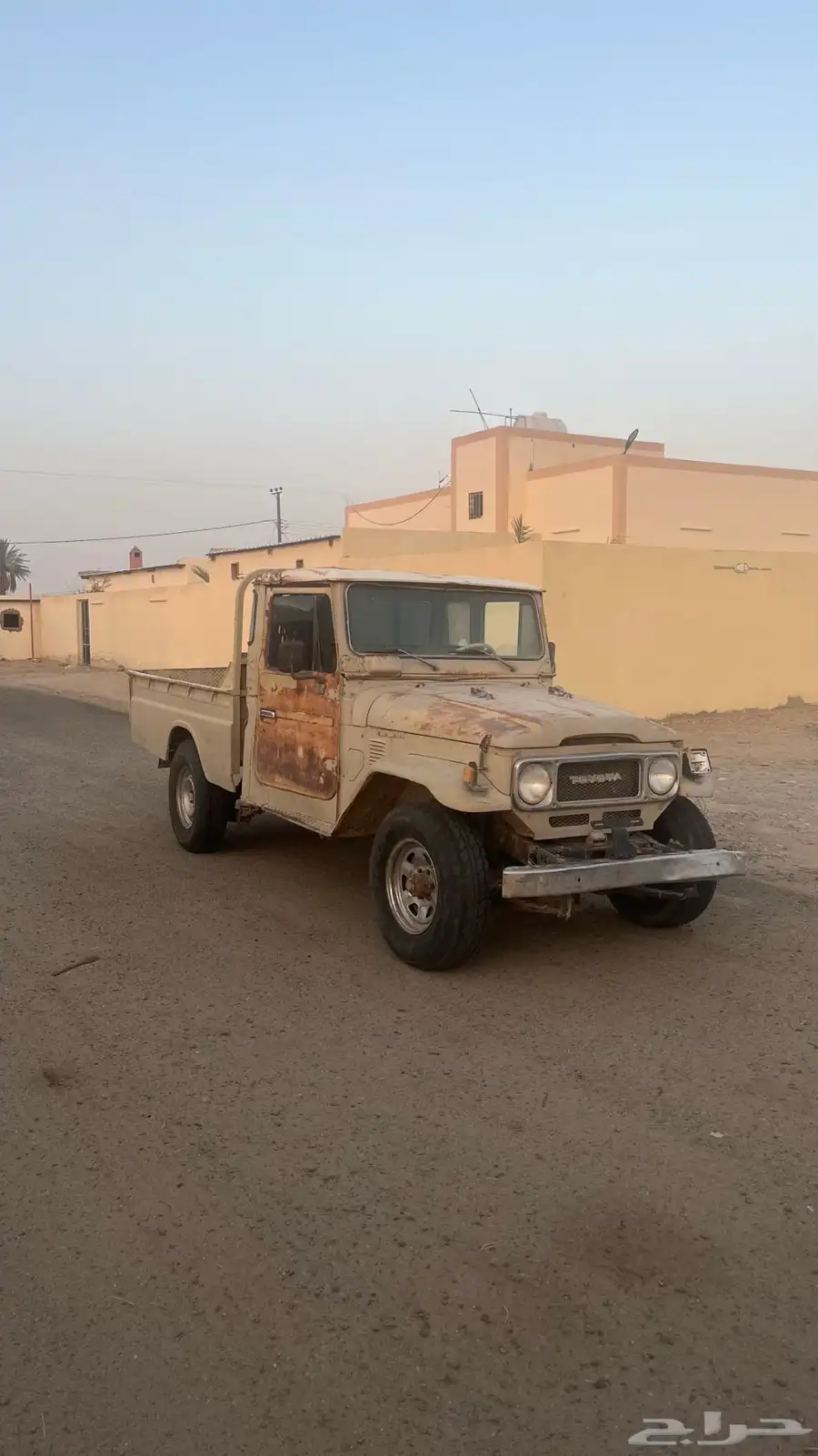 شاص1984 1