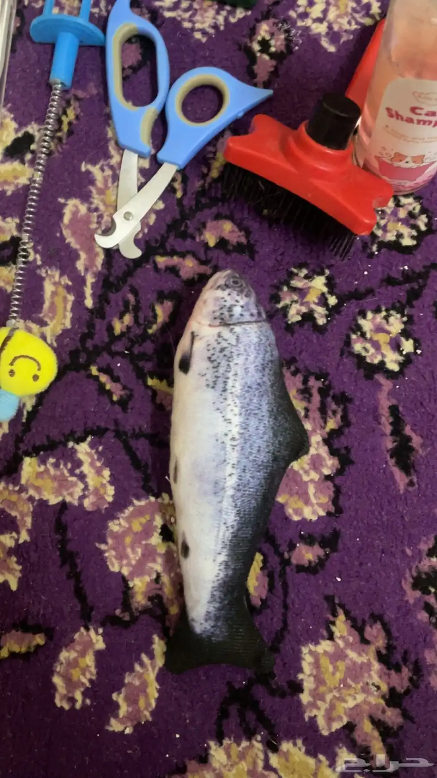 مستلزمات قطط 16