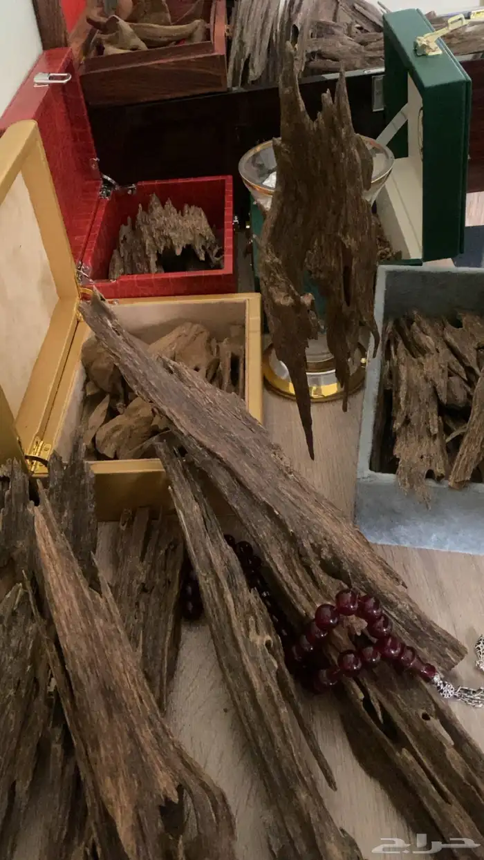 اجود وافخر انواع العود الهندي 7