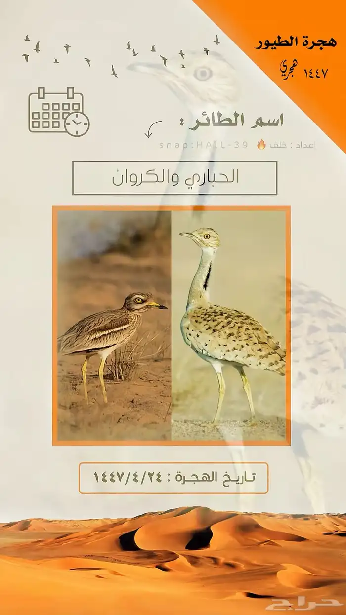 جهاز أصوات الطيور 200 صوت 10