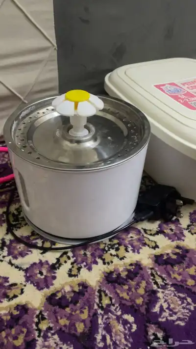 مستلزمات قطط 6