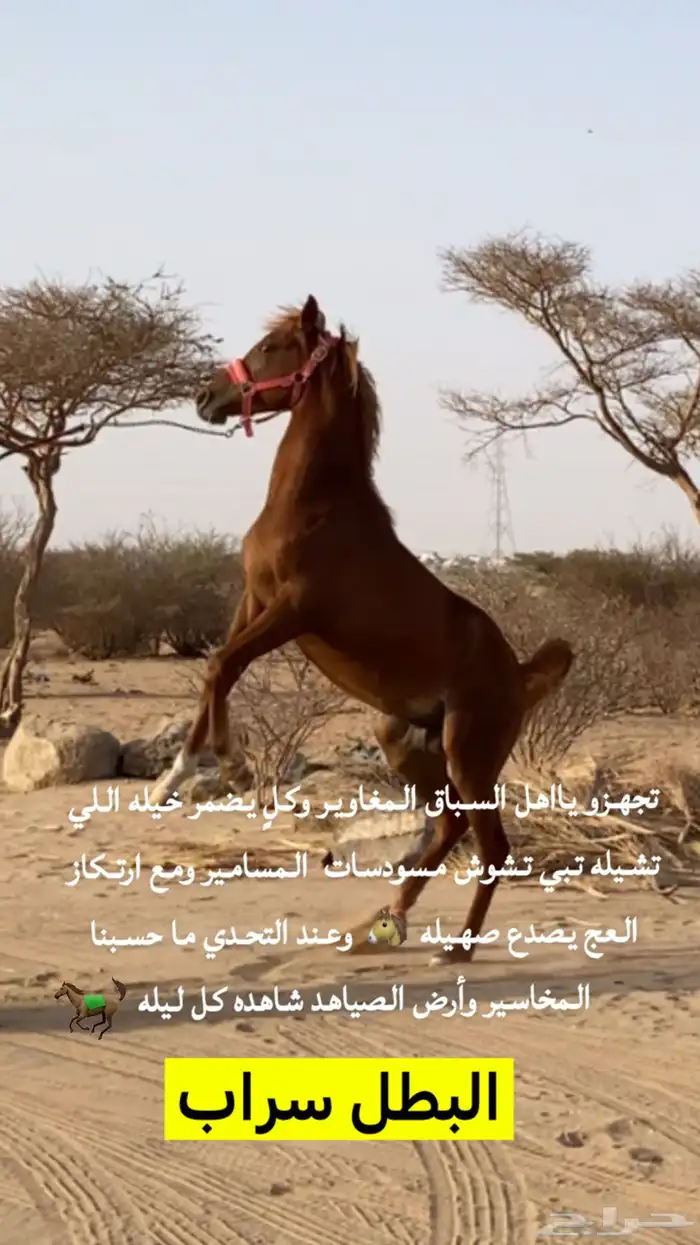 مهر الأب مورسدس 3