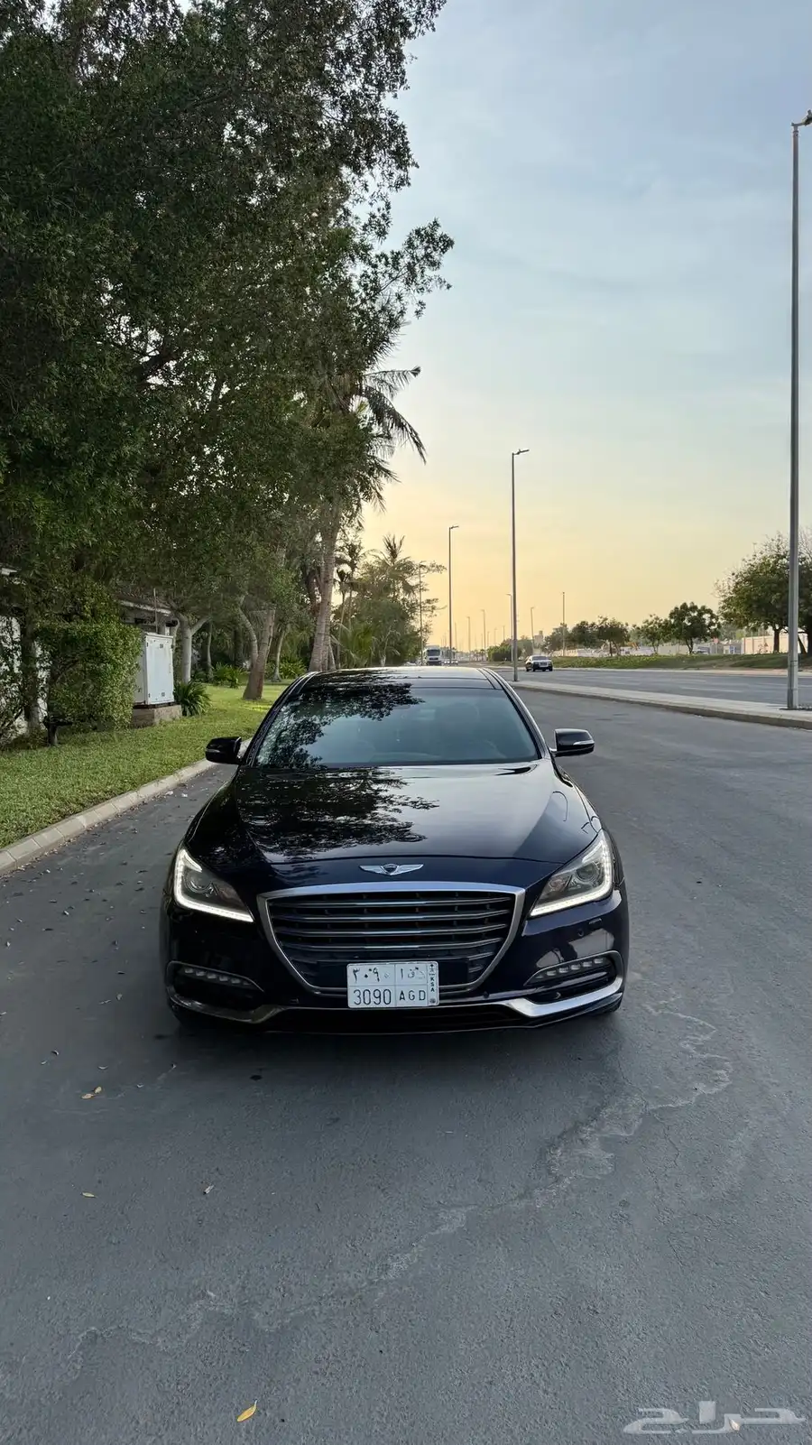 جنسس 1
