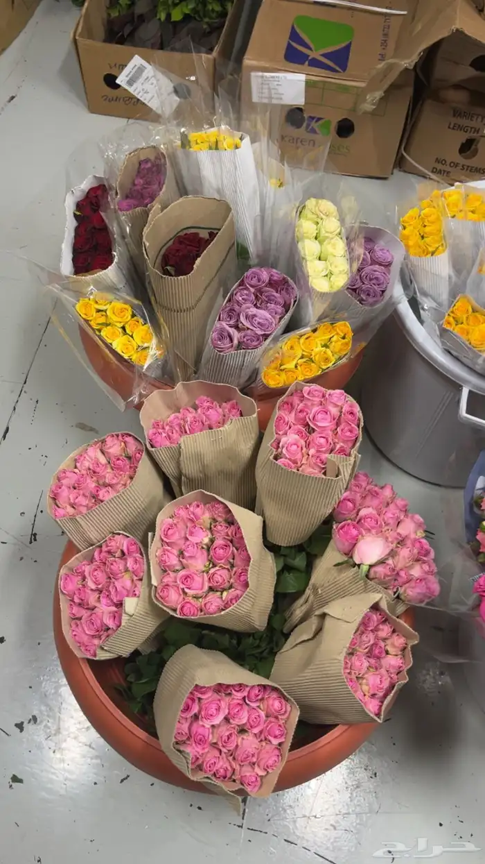 ورود جمله 16