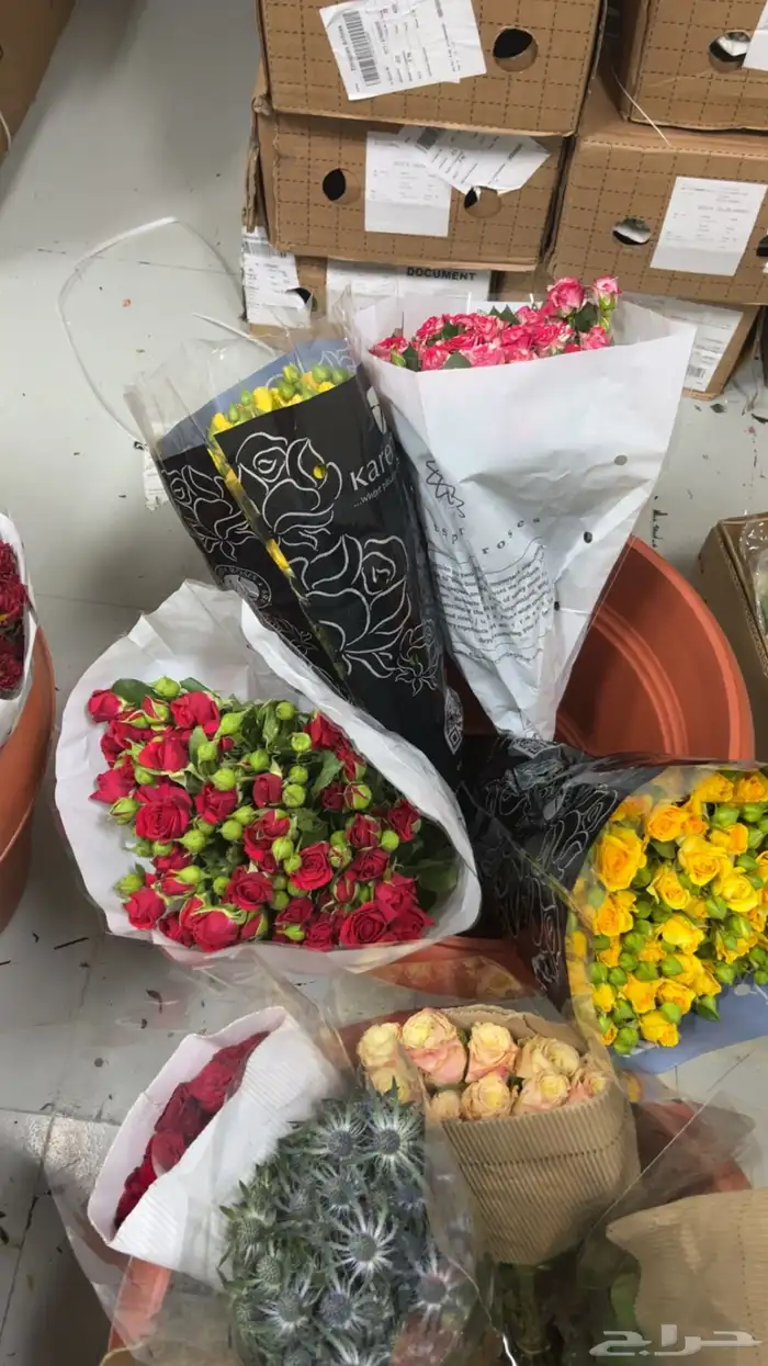 ورود جمله 21