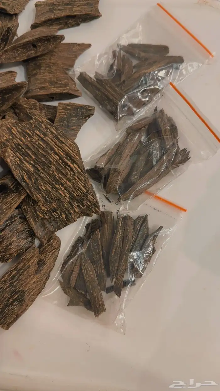 مكة المكرمة 2