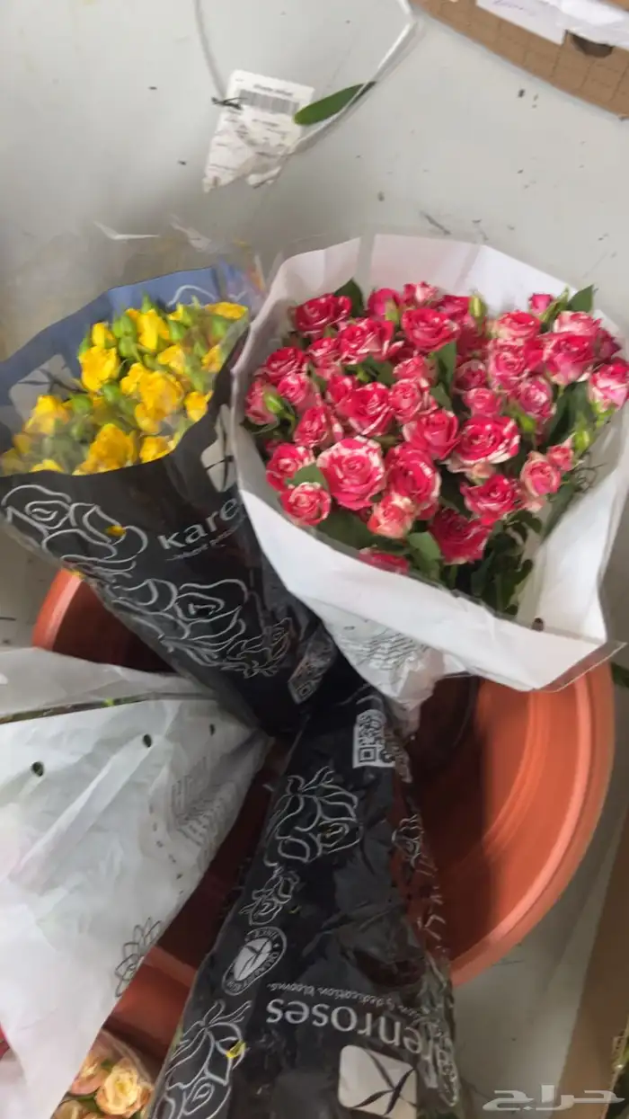 ورود جمله 17