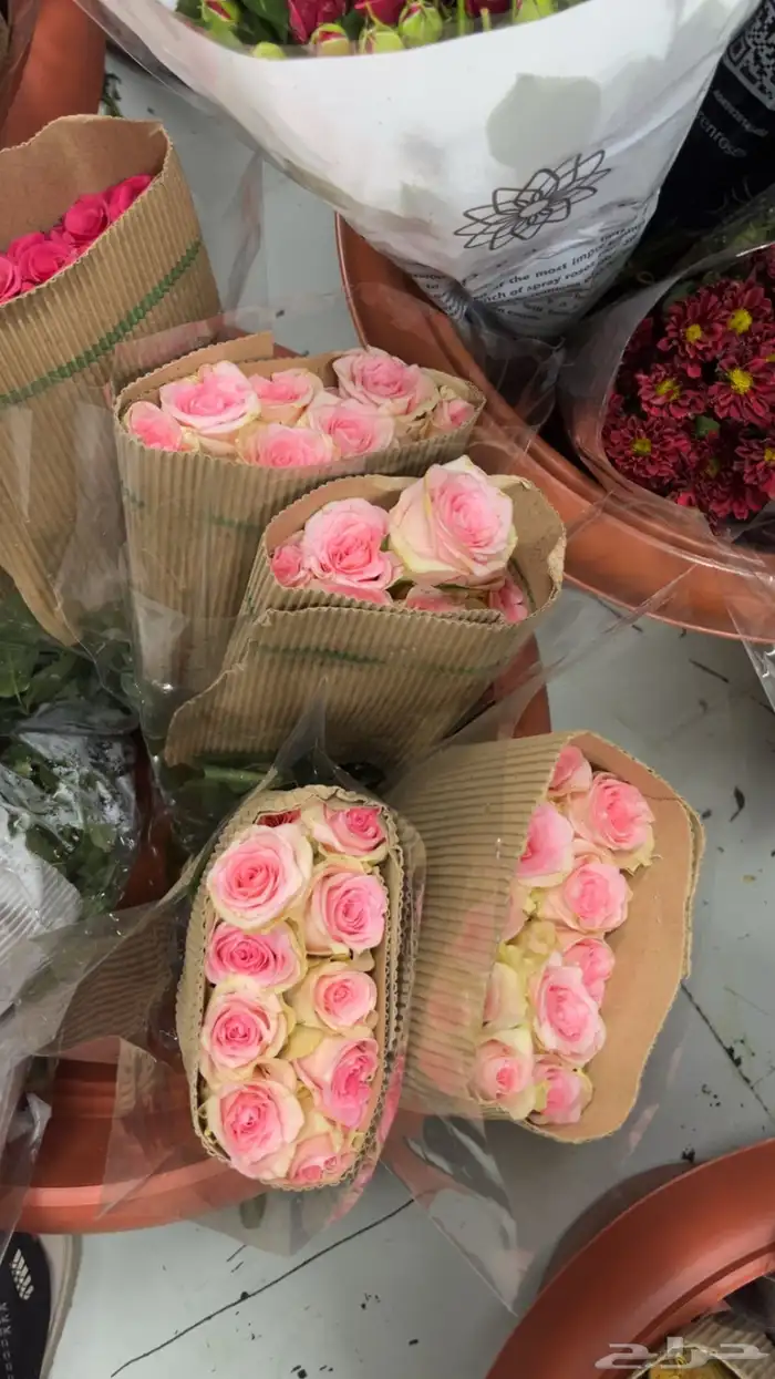 ورود جمله 18