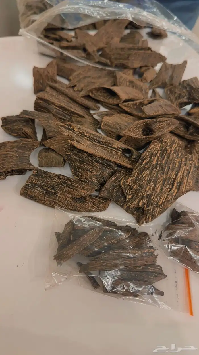 مكة المكرمة 0
