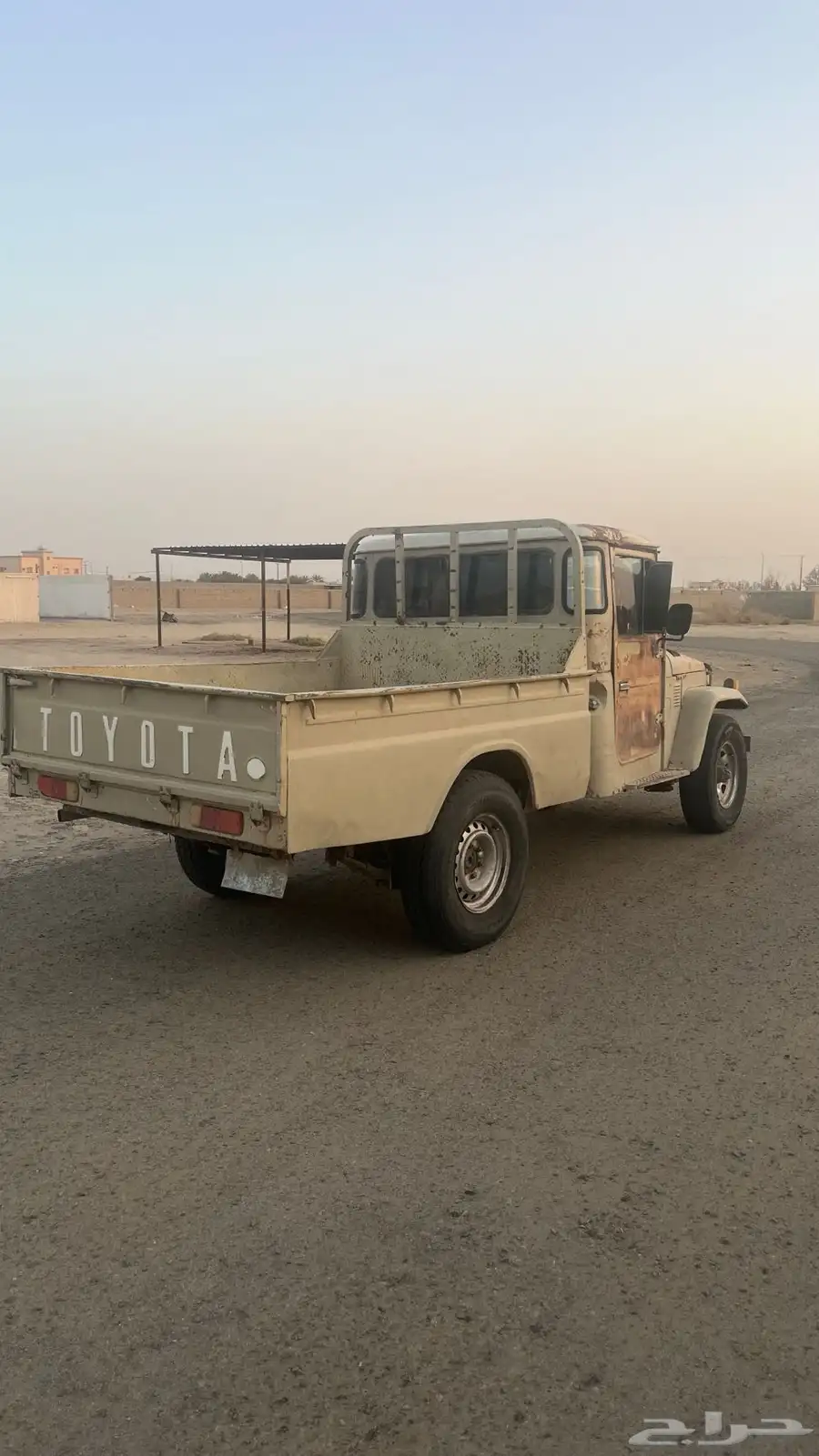 شاص1984 0