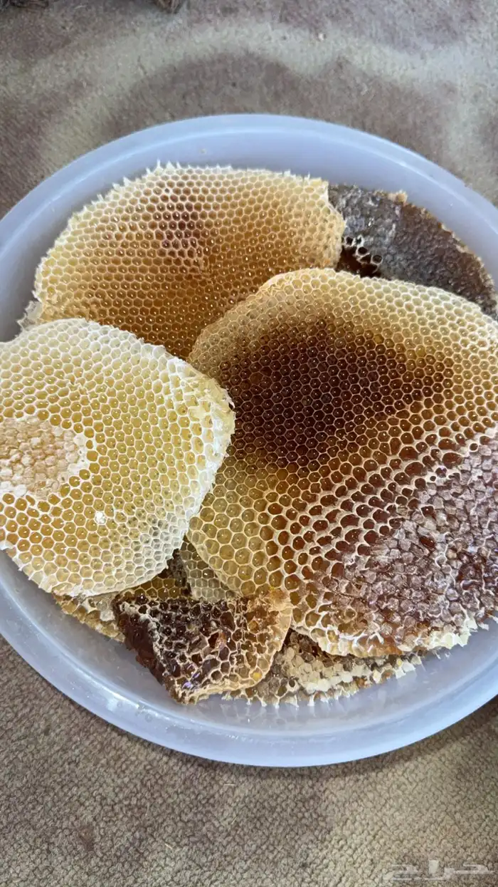 عسل سدر وسمره وطلحه 1