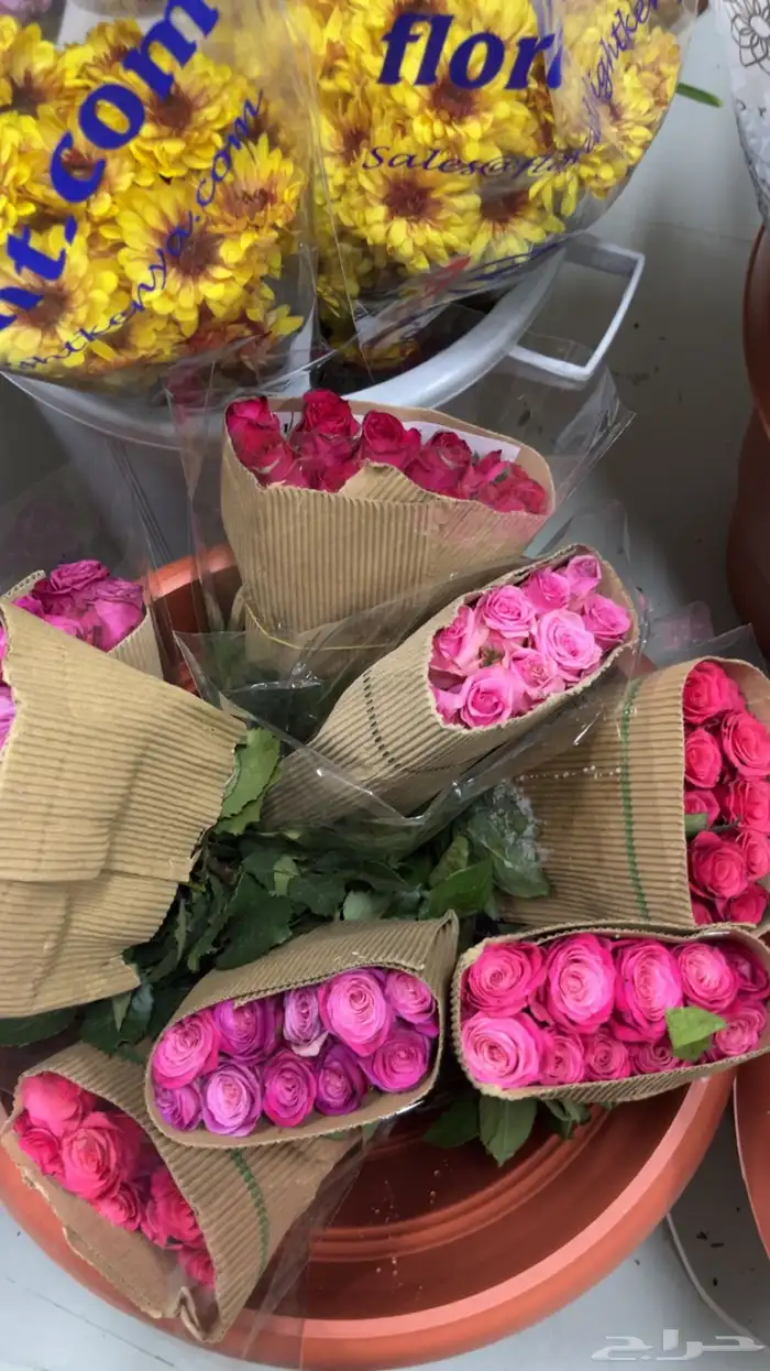 ورود جمله 19