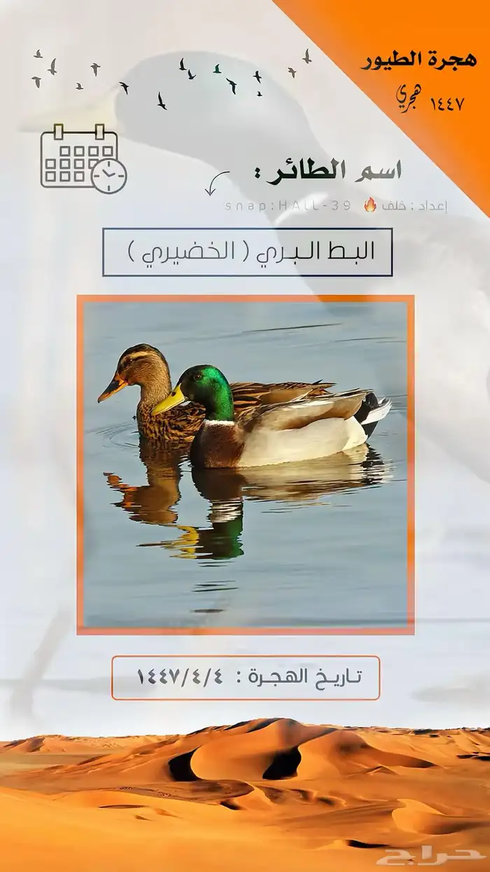 جهاز أصوات الطيور 200 صوت 11