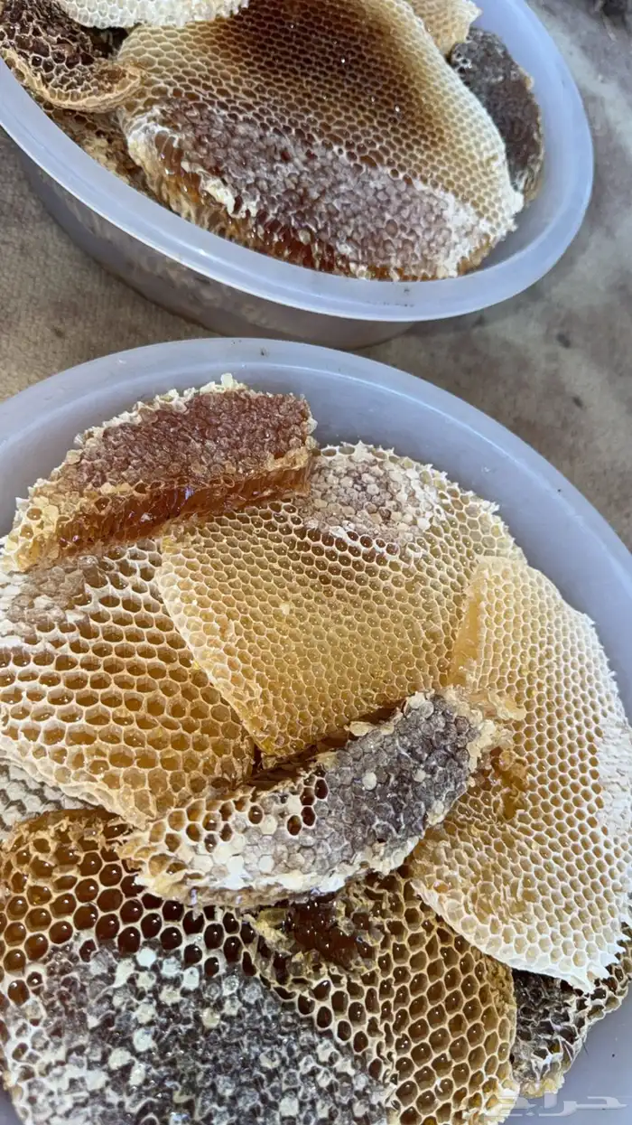 عسل سدر وسمره وطلحه 2