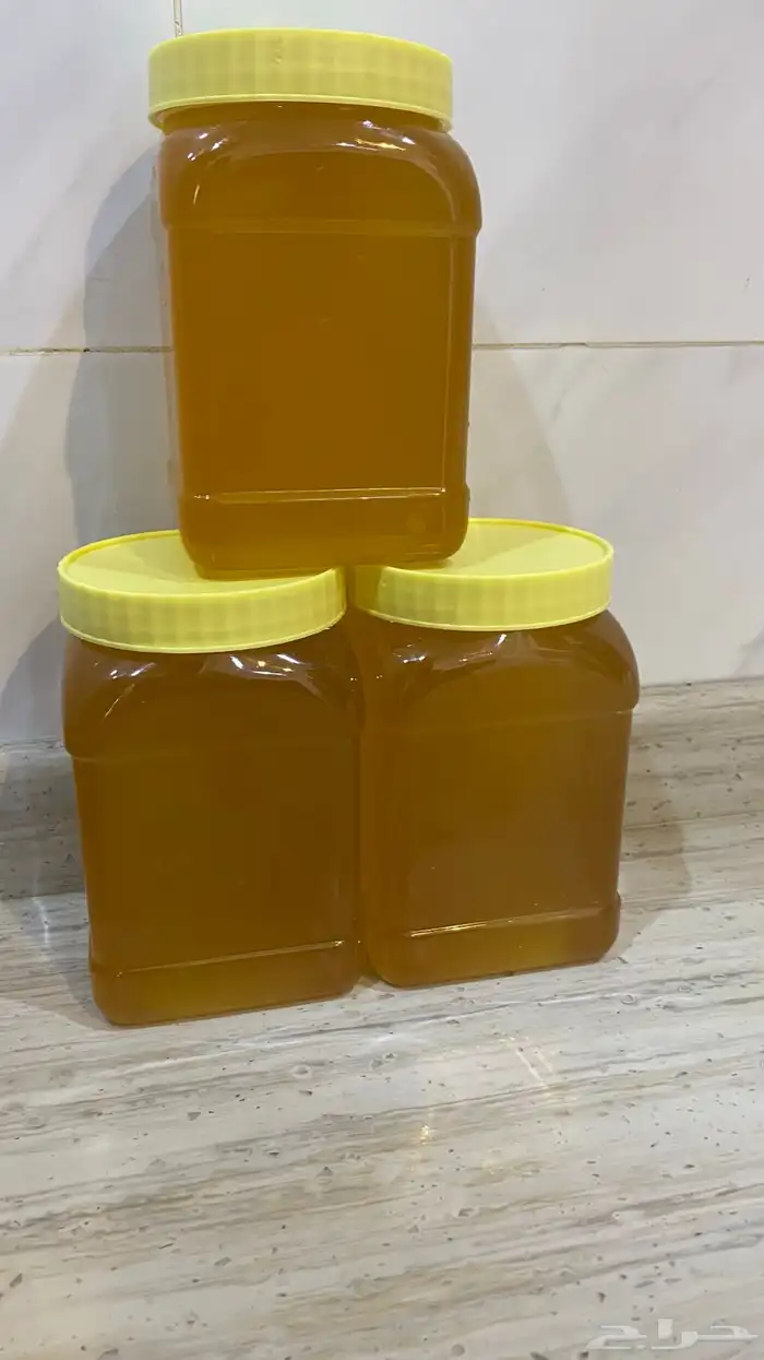 سمن غنم على الشرط 3